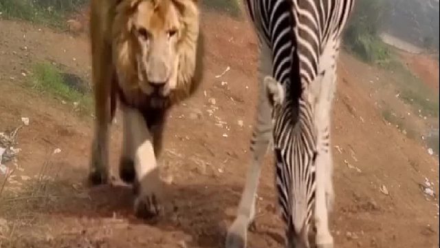 这一幕，有生以来第一次见