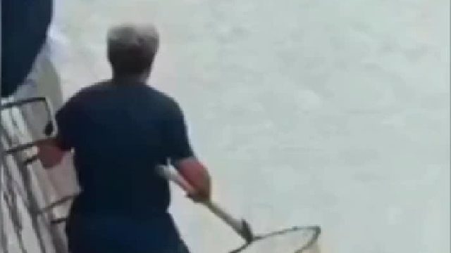 这鱼触犯天条了？