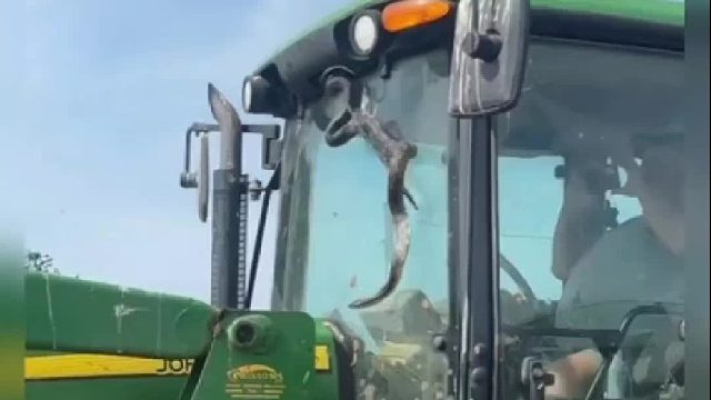 这雨刷器是什么水平