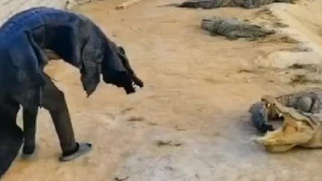 真怕鄂鱼上来咬住你的腿