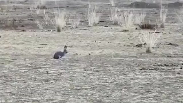 制空权的重要性