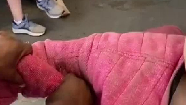 隔着这种衣服就不会被咬伤吗​​​