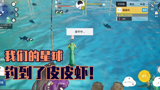 哎呦喂就你啊：钓到了皮皮虾！