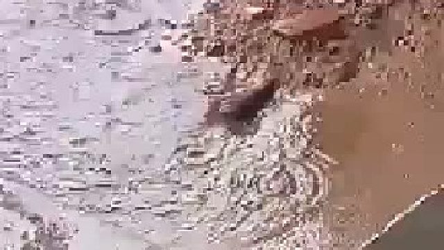 水越涨越高，老鼠妈妈一次又一次钻进充满水的窝里，义无反顾的动物的母爱，万物皆有灵！