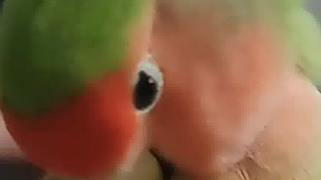 今天的不开心就到此为止吧