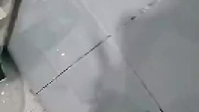 蟑螂：听我说谢谢你，因为有你