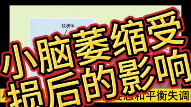 小脑萎缩受损的影响
