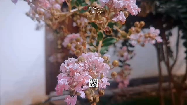 我的世界，因为有你，连路边的风景也很美丽。