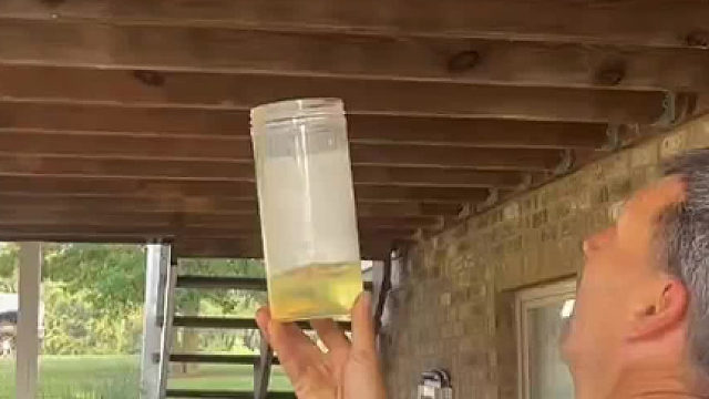 为什么掉下来不挣扎就死了，杯子里是什么？