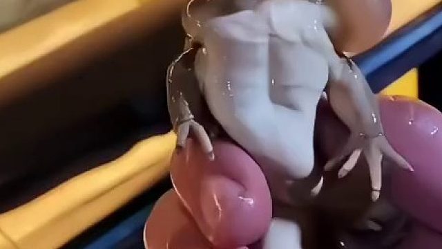 电动车里装一百条电鳗能无限里程吗