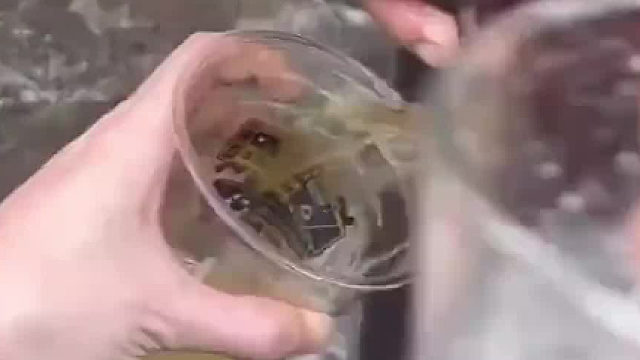 公司搬酒不幸桶破了，领导要求一天喝完，员工兴奋说到：今天喝个够啊