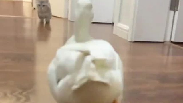 感谢大自然的馈赠