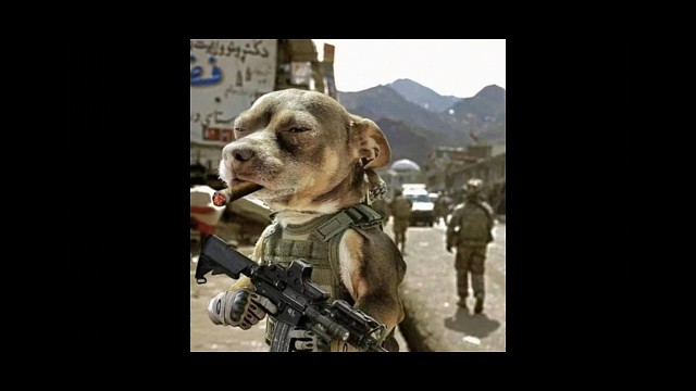 有没有知道这是什么状况