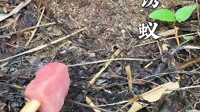 经过岁月的洗礼，很多东西渐渐被遗忘，只能留在智者心中！