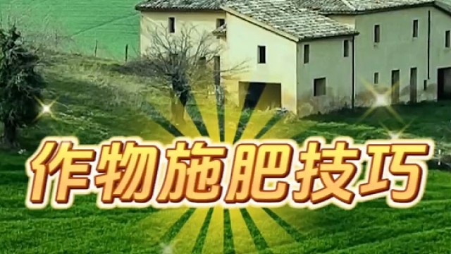 农作物施肥技巧