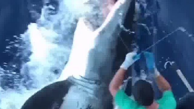 可以吹一辈子的钓鱼经历