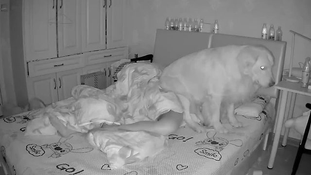 半夜以为自己被鬼压床了