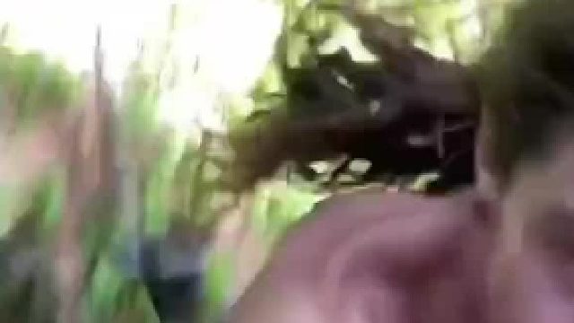 你有急支糖浆吗？