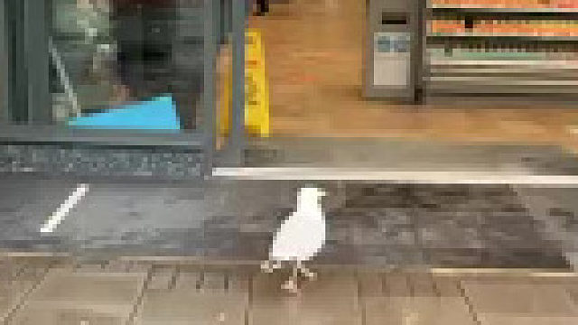 谢谢你！好心人