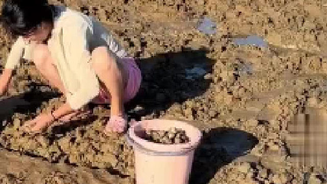 过几年还能赶海吃海鲜吗