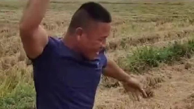 年轻人，我劝你耗子尾汁啊