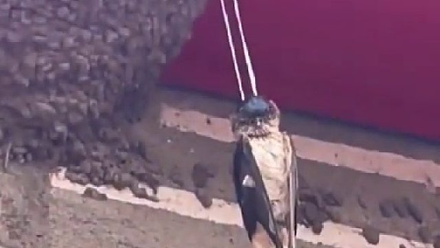 我去，这房子有问题啊