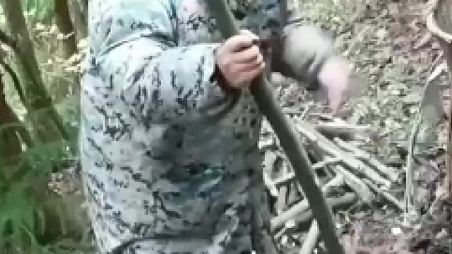 爱是双向的，更是一种无条件的付出！