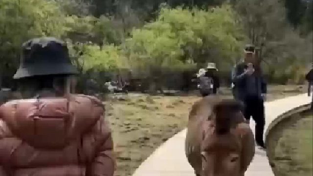 女人除了不怕老公，什么都怕，被踢了一脚，连脸都不敢转一下