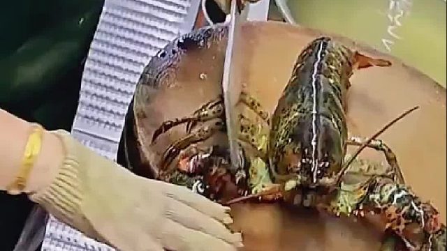 虾：都看到了吧！！！持刀抢钱！！！光天化日！！！！还有王法？？？？？