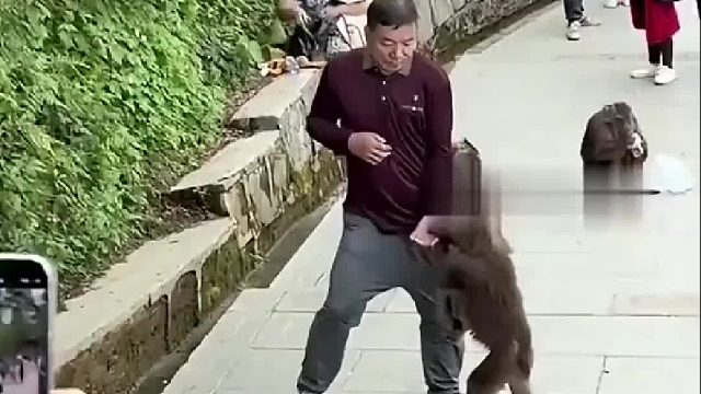 以为大叔对猴子温柔，拿起武器之后立刻反击，猴子吓得赶紧跑了