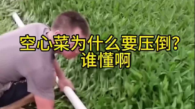 为什么都要压倒