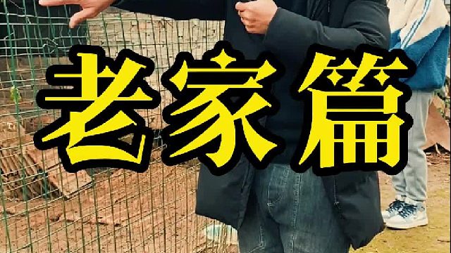 家乡的树家乡的路还有家乡的母和父！