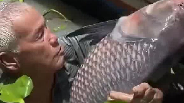 网友的一段视频，这鱼也太大了吧…