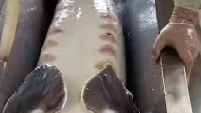 感觉这东西一辈子都跟我没啥关系