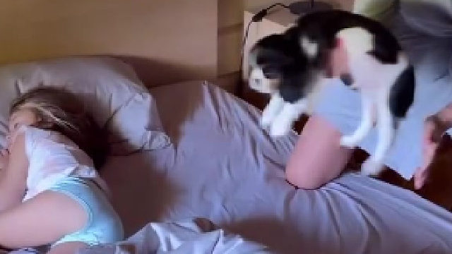 妈妈给孩子准备了一份特殊礼物——一只可爱的汪星人