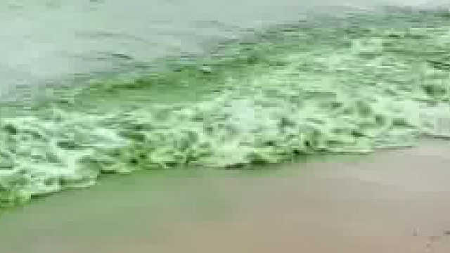 游客在湖边发现惊奇一幕，湖水变成绿色如同“菠菜汁”一样：一眼望不到边，好可怕！