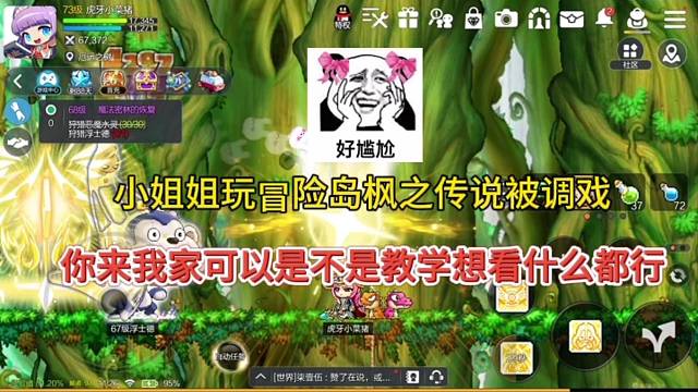 小姐姐玩冒险岛枫之传说被调戏？来我家什么都可以给你kan？