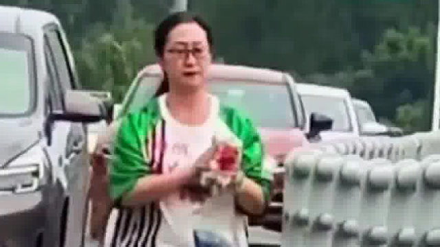 高架上看到的一幕，冒险救下流浪小猫。感谢善良的人们，世界因为你们而有温度