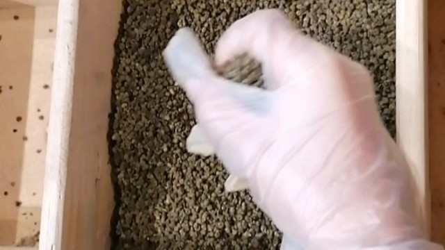 手抖？早发现早治疗早恢复