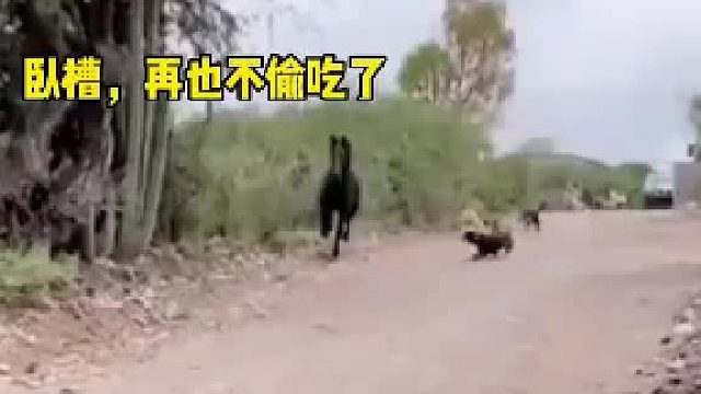 马：这波我在大气层