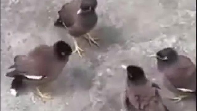 都点头了，看来商量好了