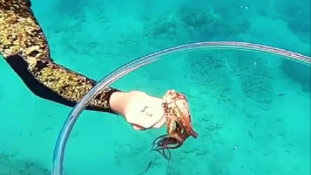 水母：谁家洗衣机放海里了？