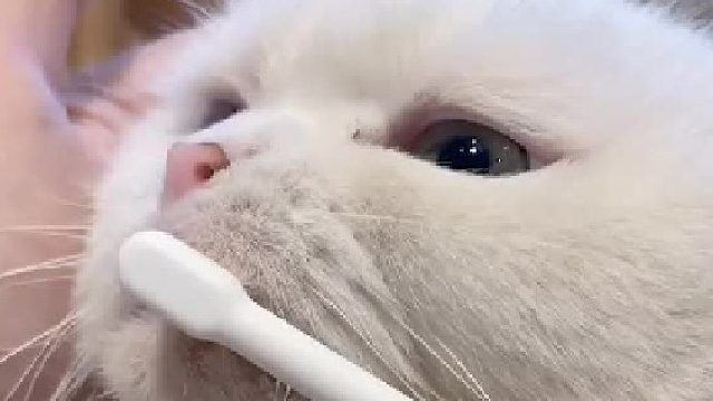 每天最幸福就是早上看到他们向我打招呼的样子