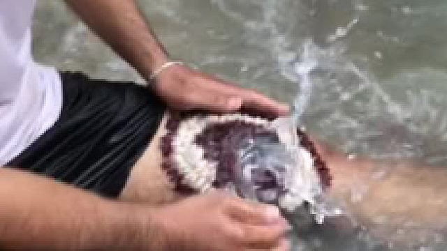 这是什么东西？