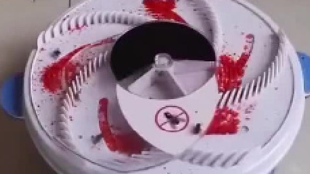 苍蝇收集器，什么水平？