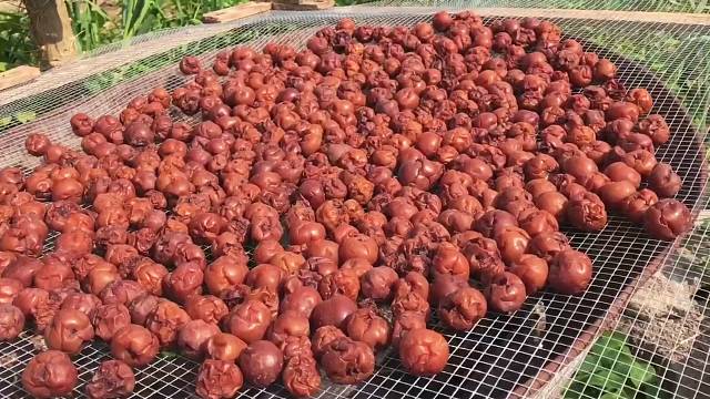 酒泡李子，做成酸酸甜甜李子干