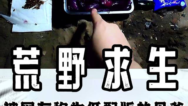 被网友称为低配版的“贝爷”？！#末日生存#整活#大神