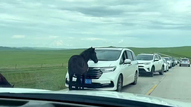 堵车时永远不知道第一辆车在干嘛