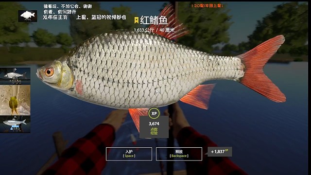 北顿第三条星红旗，蹲欧白碰瓷。22图就差欧白，上次死磕两周欧白，这次死磕9天，眼睛都要瞎了，超多下饭