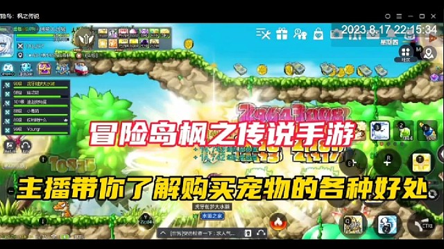 【冒险岛枫之传说手游】主播带你了解购买宠物的各种好处！